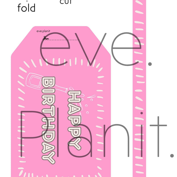 Happy Birthday Baby Pink Wine Bottle DIY Tags