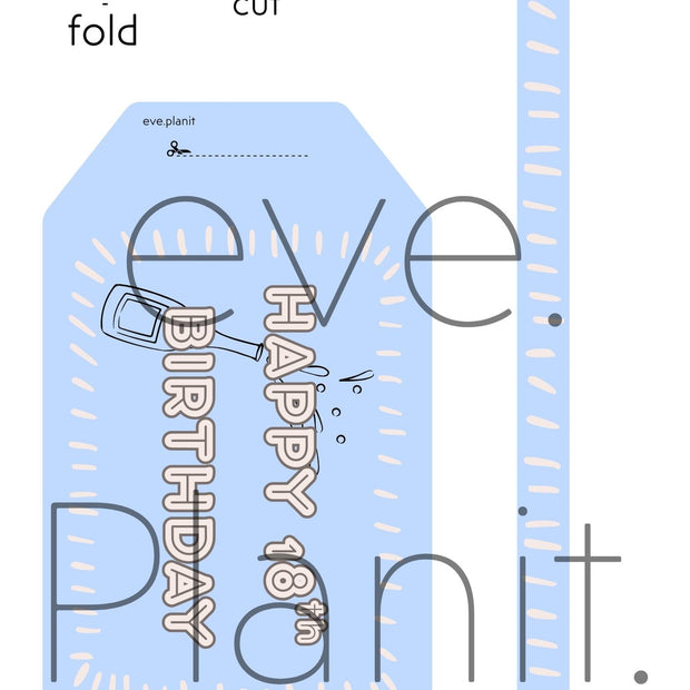 Happy 18th Birthday Baby Blue Wine Bottle DIY Tags