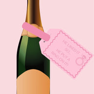 Engagement 'He Put a Ring on it' lyric Wine Bottle DIY Tags