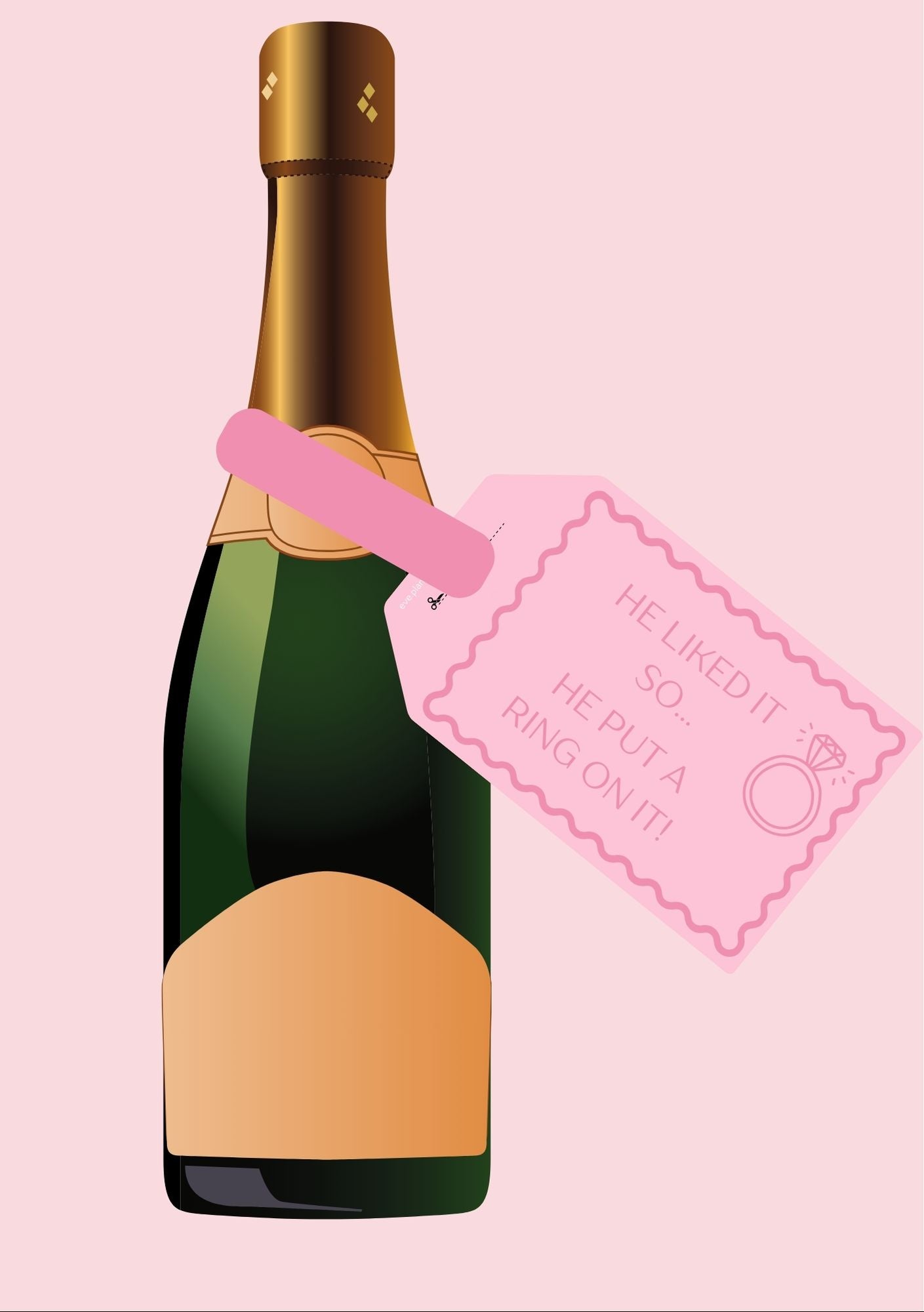 Engagement 'He Put a Ring on it' lyric Wine Bottle DIY Tags