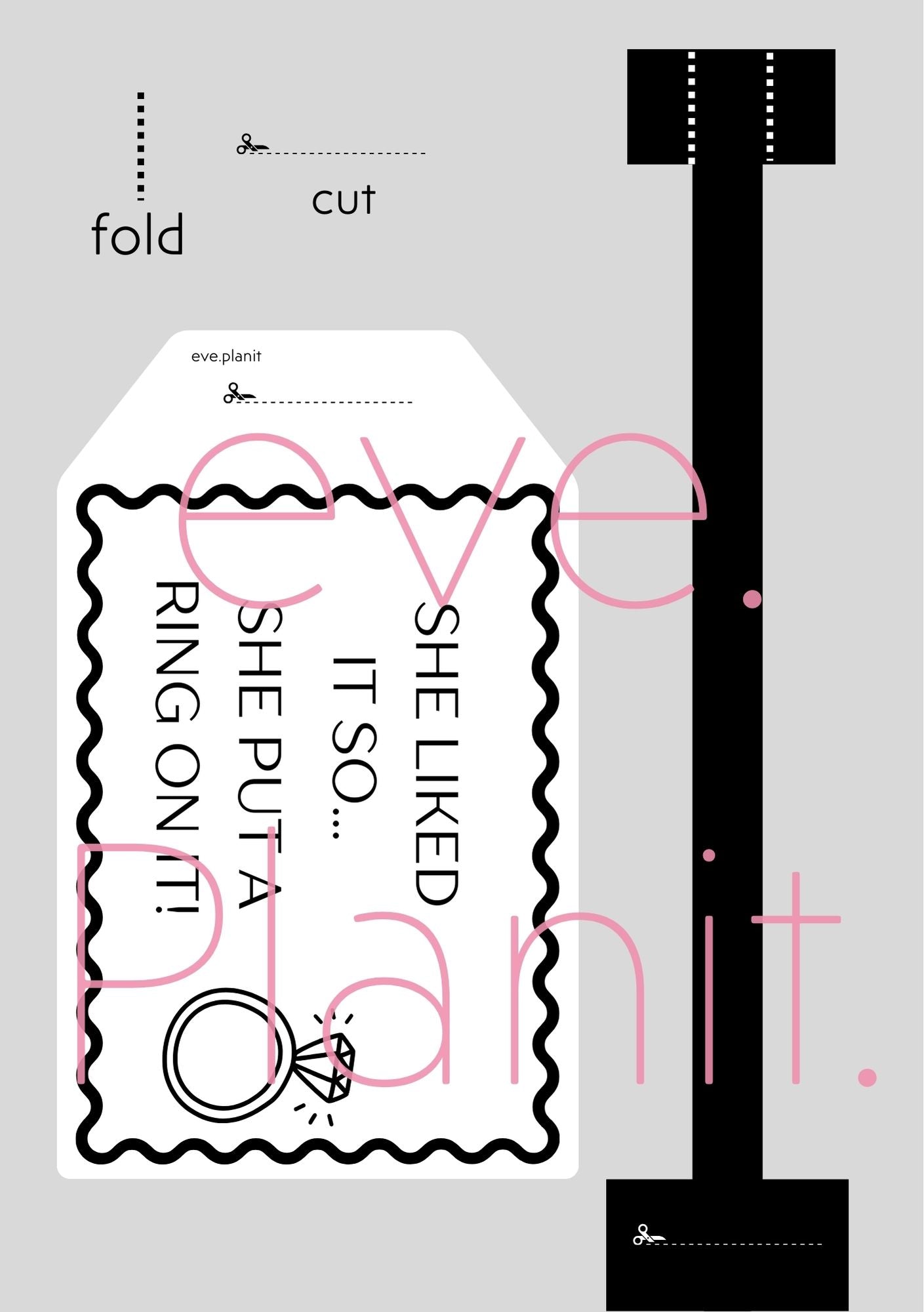 Engagement 'She Put a Ring on it' lyric Wine Bottle DIY Tags