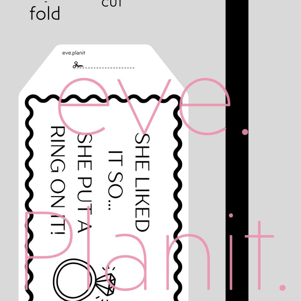 Engagement 'She Put a Ring on it' lyric Wine Bottle DIY Tags