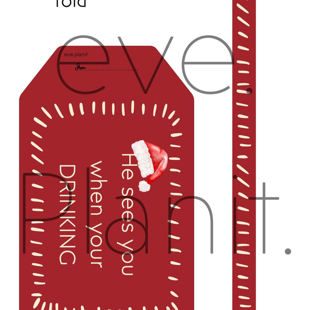 Christmas Wine Bottle DIY Tag (He sees you when you're drinking RED)