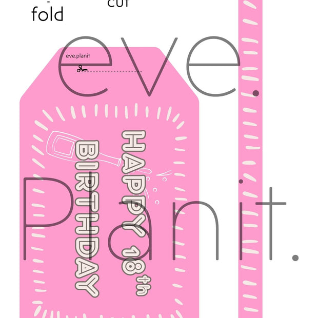 Happy 18th Birthday Baby Pink Wine Bottle DIY Tags