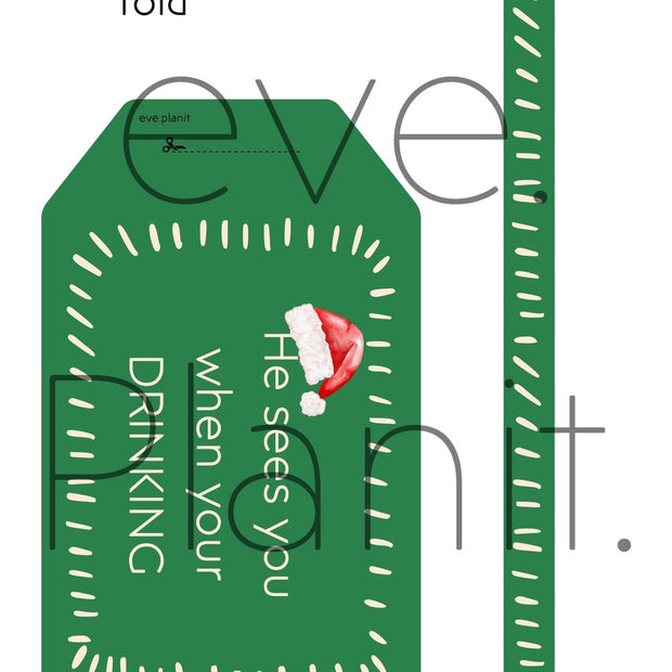 Christmas Wine Bottle DIY Tag (He sees you when you're drinking)