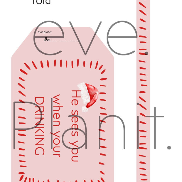 Christmas Wine Bottle DIY Tag (He sees you when you're drinking)