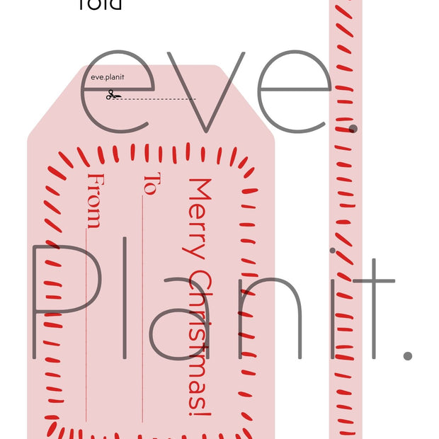 Christmas Wine Bottle DIY Tag To-From (PINK/RED)