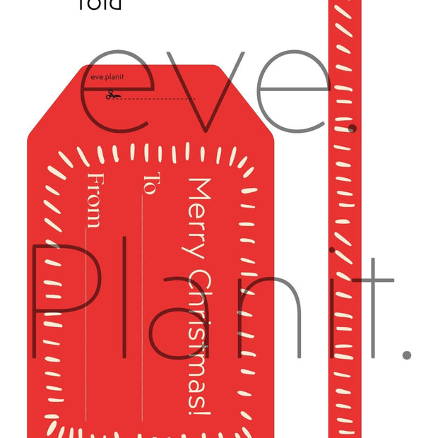 Christmas Wine Bottle DIY Tag To-From (RED)