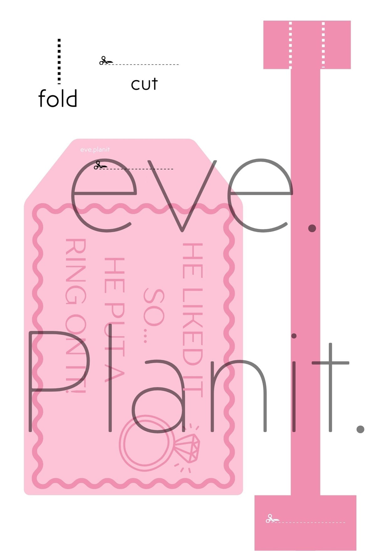 Engagement 'He Put a Ring on it' lyric Wine Bottle DIY Tags