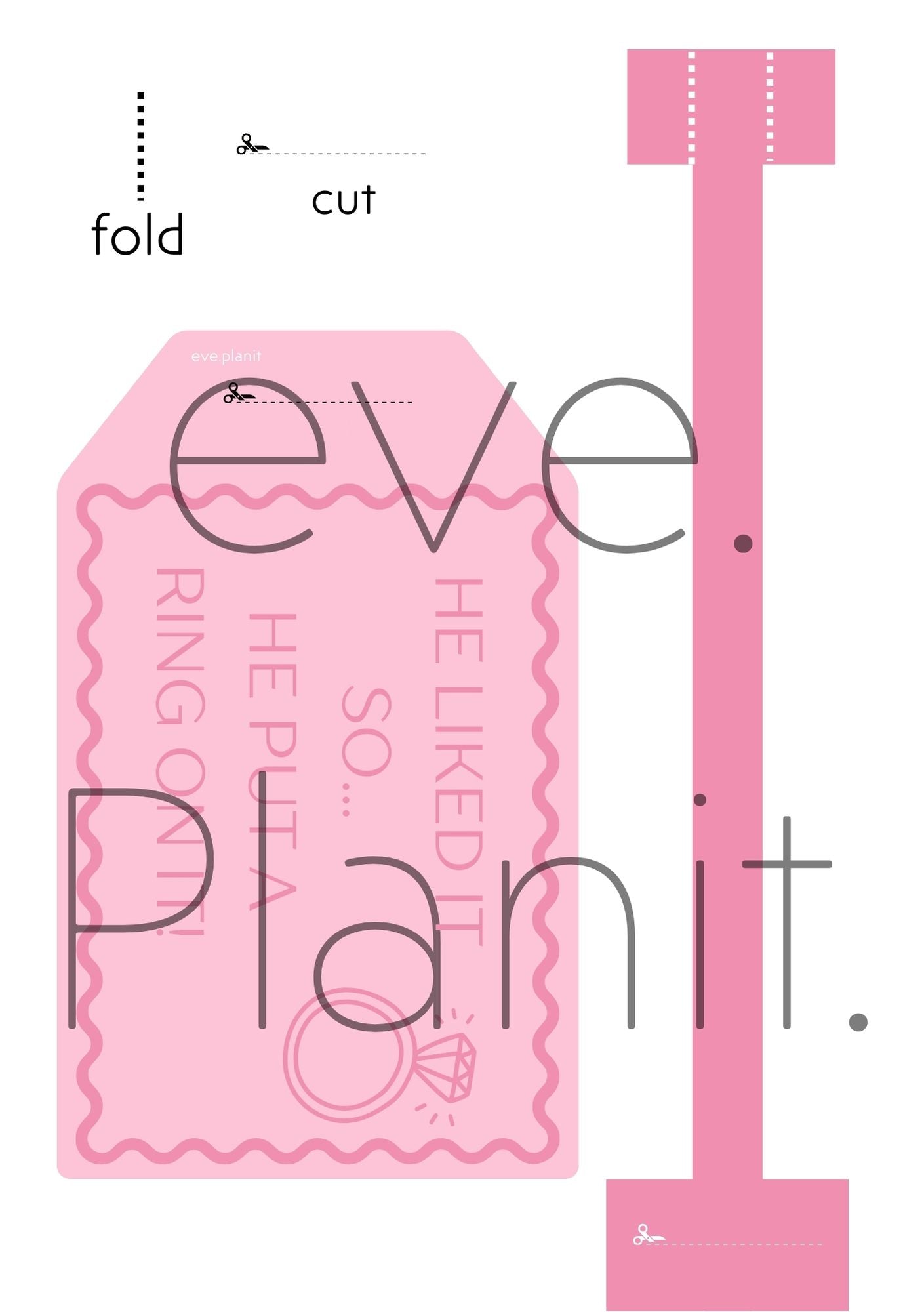 Engagement 'He Put a Ring on it' lyric Wine Bottle DIY Tags