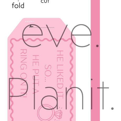 Engagement 'He Put a Ring on it' lyric Wine Bottle DIY Tags