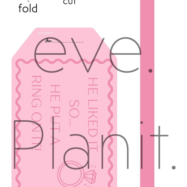 Engagement 'He Put a Ring on it' lyric Wine Bottle DIY Tags